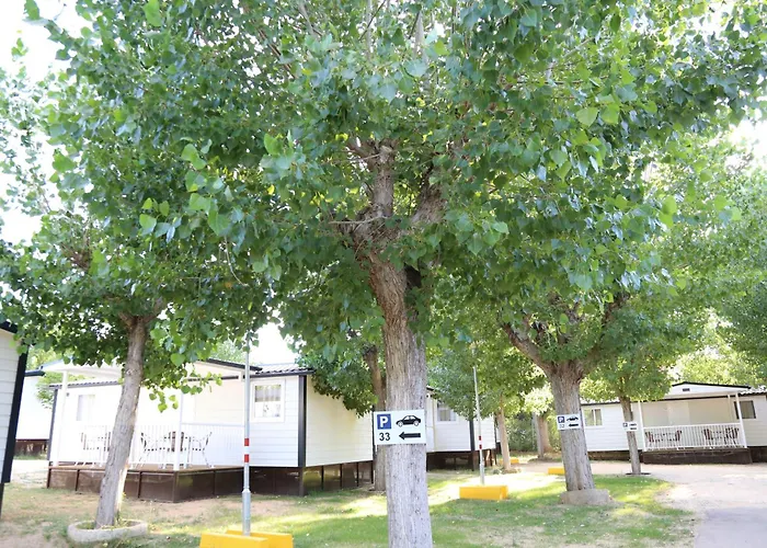 Parque de Campismo Y Mobil Homes Regio