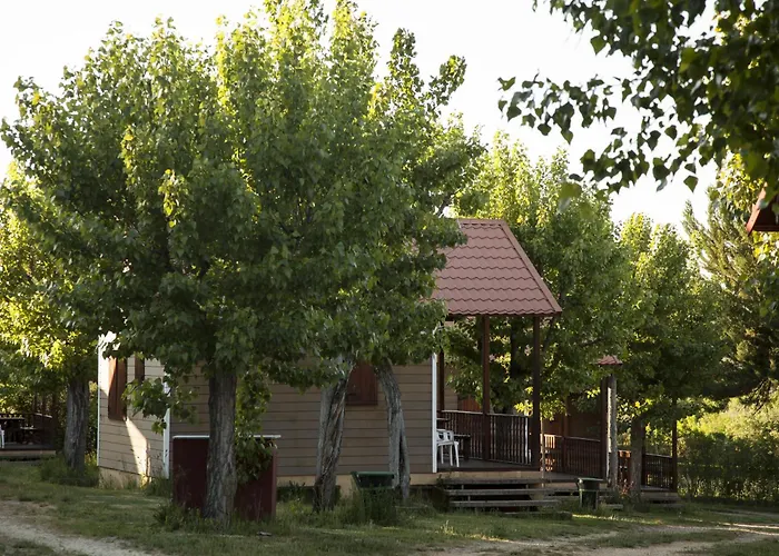 Y Mobil Homes Regio Parque de Campismo 4*