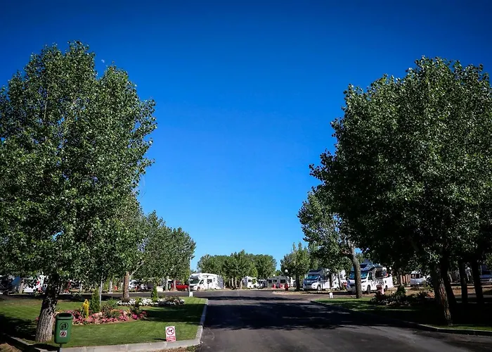 Y Mobil Homes Regio Parque de Campismo 4*